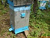 hive fanera  -69.jpg